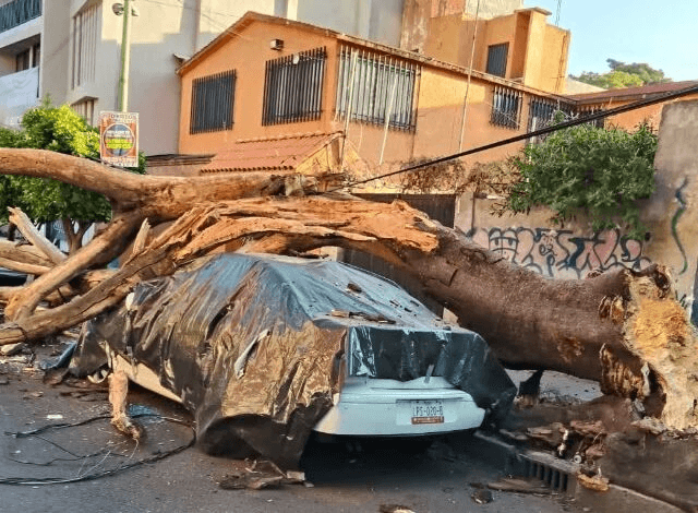 Fuerte sismo deja un muerto en CDMX