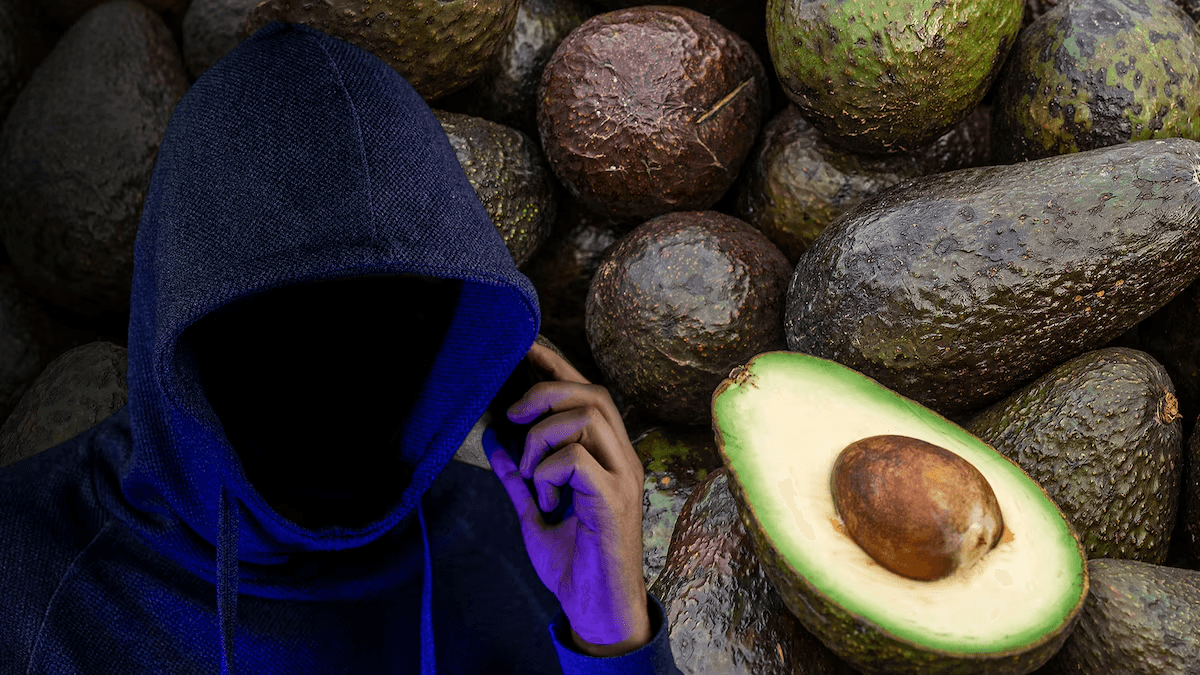 Extorsión ‘le quita brillo’ al aguacate de cara al Super Bowl: Calculan hasta 5% menos de su valor