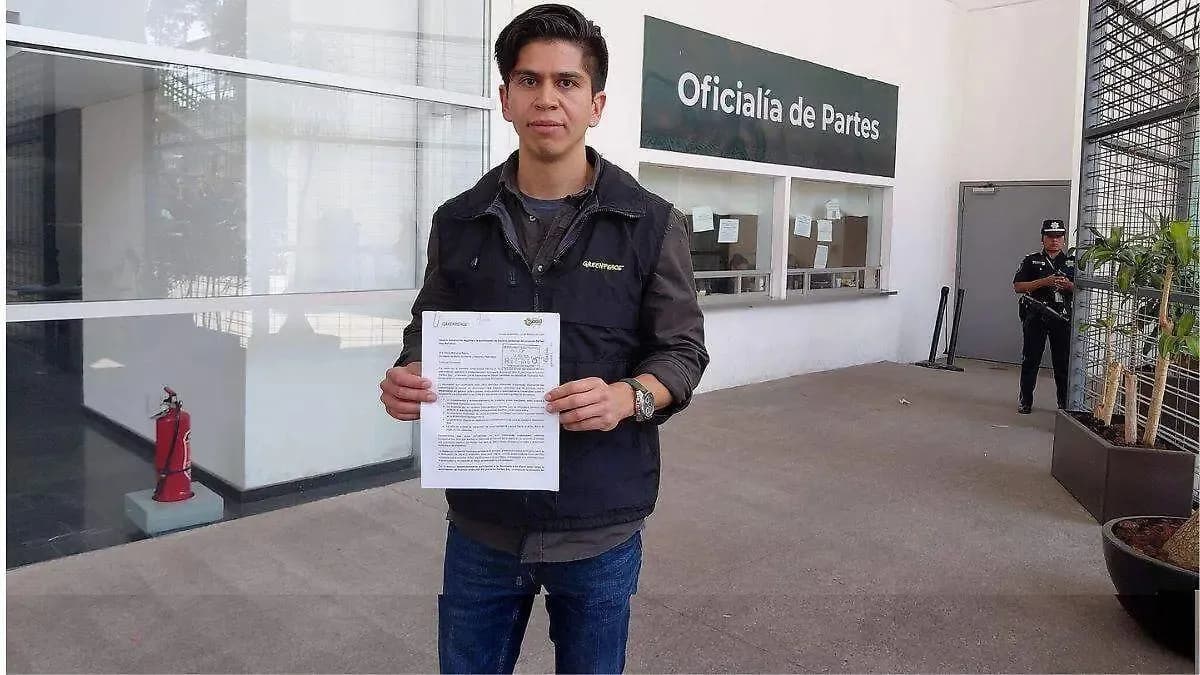 Greenpeace exige a Semarnat rechazar megaparque turístico en Quintana Roo por impactos irreversibles