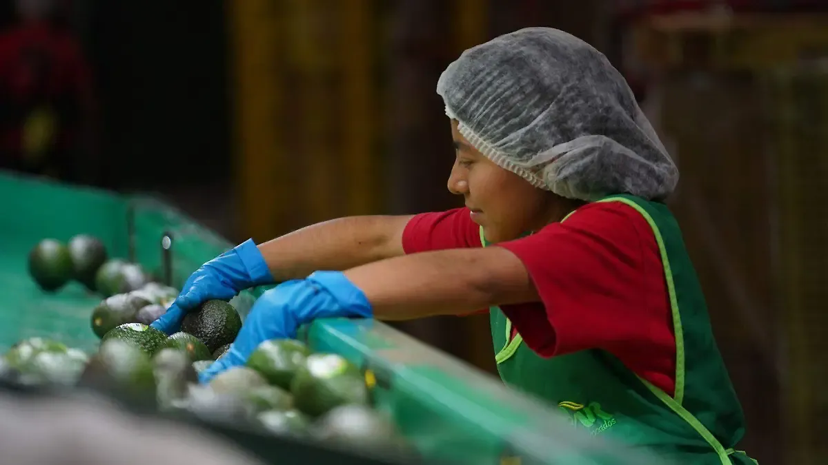 STPS aclara: no habrá disminución salarial por la reforma laboral