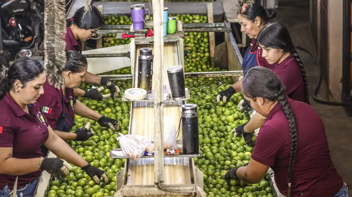 Reforma laboral es oficial: publican en DOF ruta hacia las 40 horas