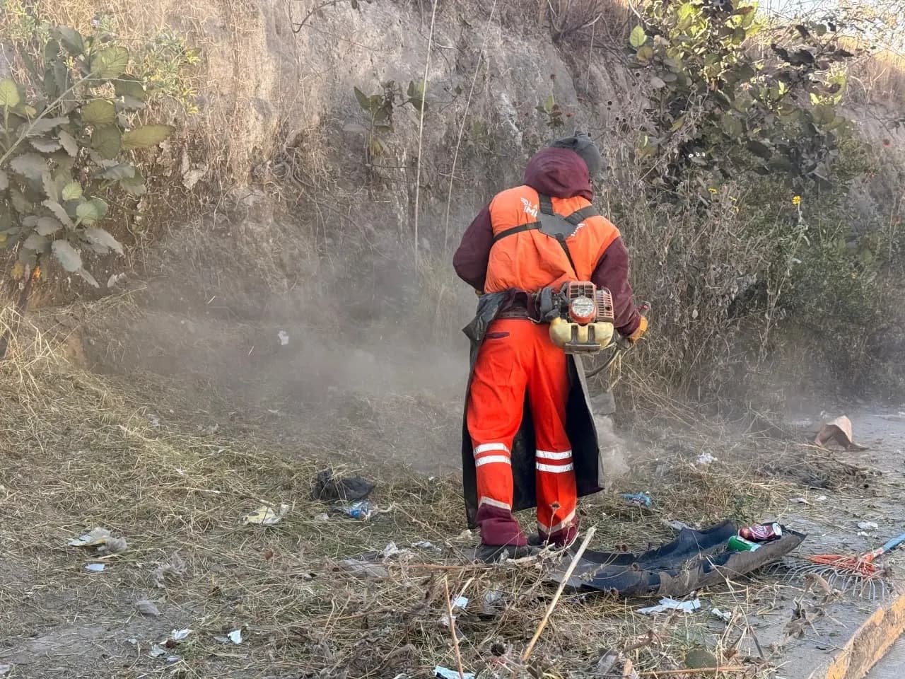 El OOSL realizó labores intensivas de barrido manual, recolección de residuos y saneamiento en banquetas, camellones y ciclovía