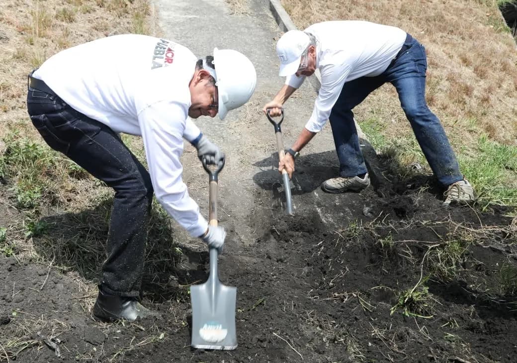 Impulsa Ayuntamiento de Puebla estrategia de reforestación para ampliar áreas verdes en la capital