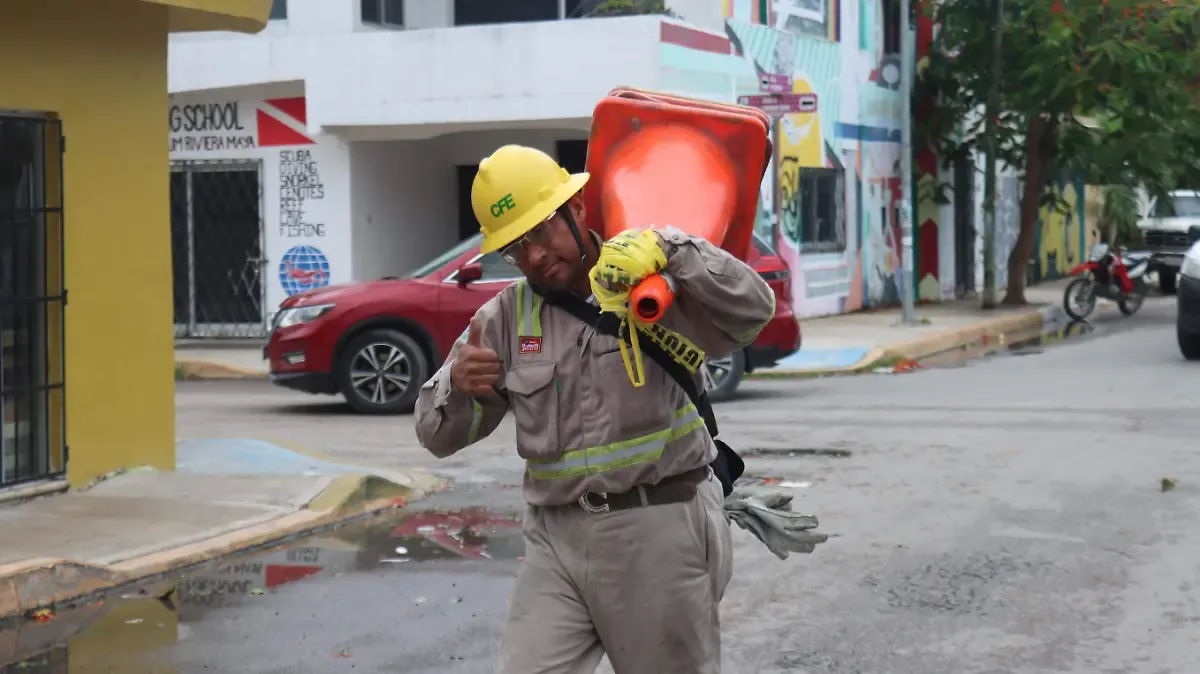 CFE se apoya en inversión mixta para ejecutar plan energético