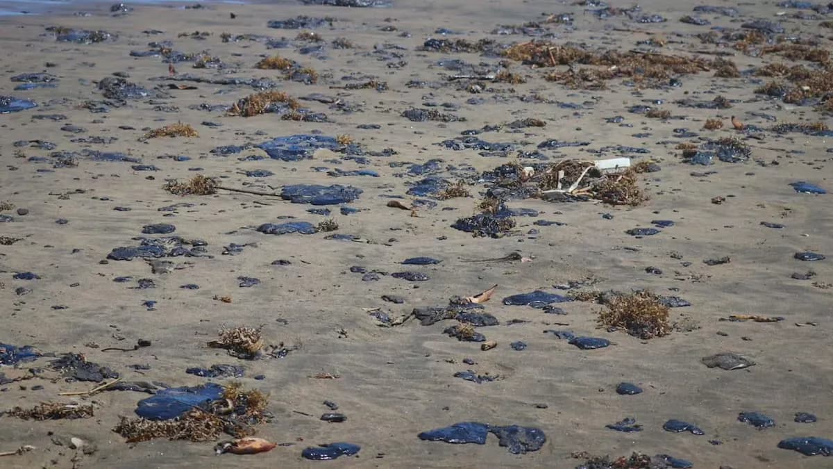 ‘Todavía no está identificada’: Gobierno aún desconoce qué empresa derramó petroleo en el Golfo