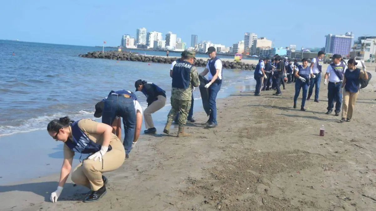 Retiran más de 430 toneladas de hidrocarburos en costas del Golfo de México