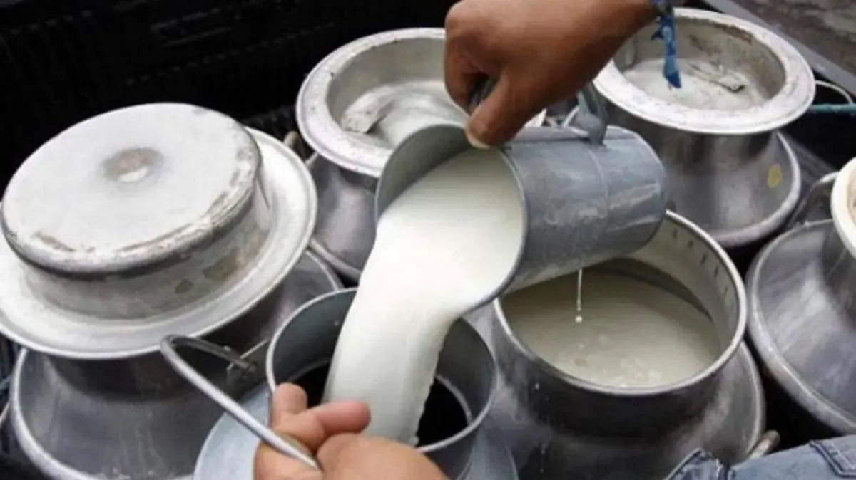 Productores de Jalisco piden precios de garantía para la leche ante crisis del sector