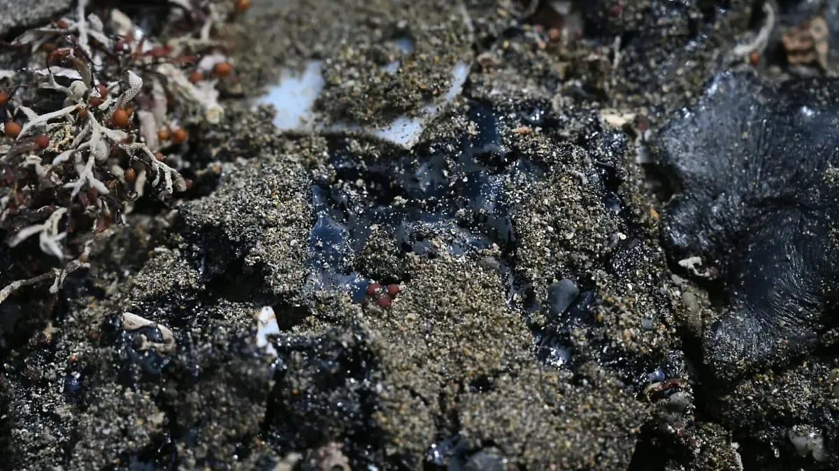 Greenpeace acusa que autoridades sabían con anticipación sobre el riesgo del derrame de crudo en el Golfo