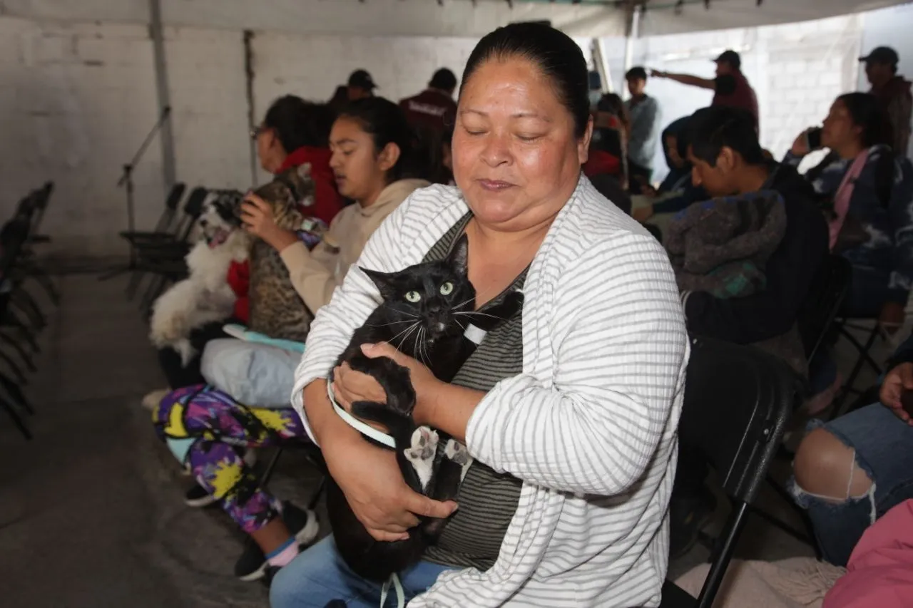 Refuerzan acciones de bienestar animal con jornada en la capital