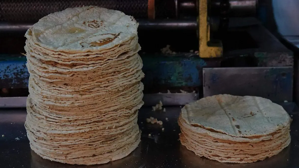 Descartan Sader y Profeco aumento en el precio de la tortilla