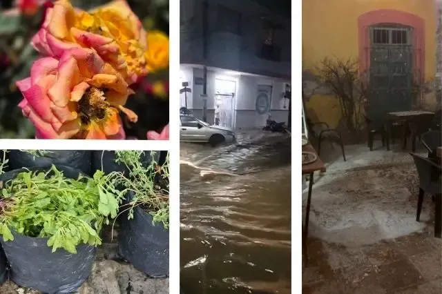Lluvias dañan 30 calles, 25 viviendas y a 200 productores agrícolas en Atlixco