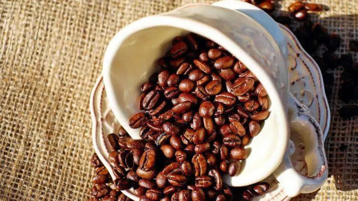 Impulsan reconocimiento del café nayarita; tendrá Denominación de Origen