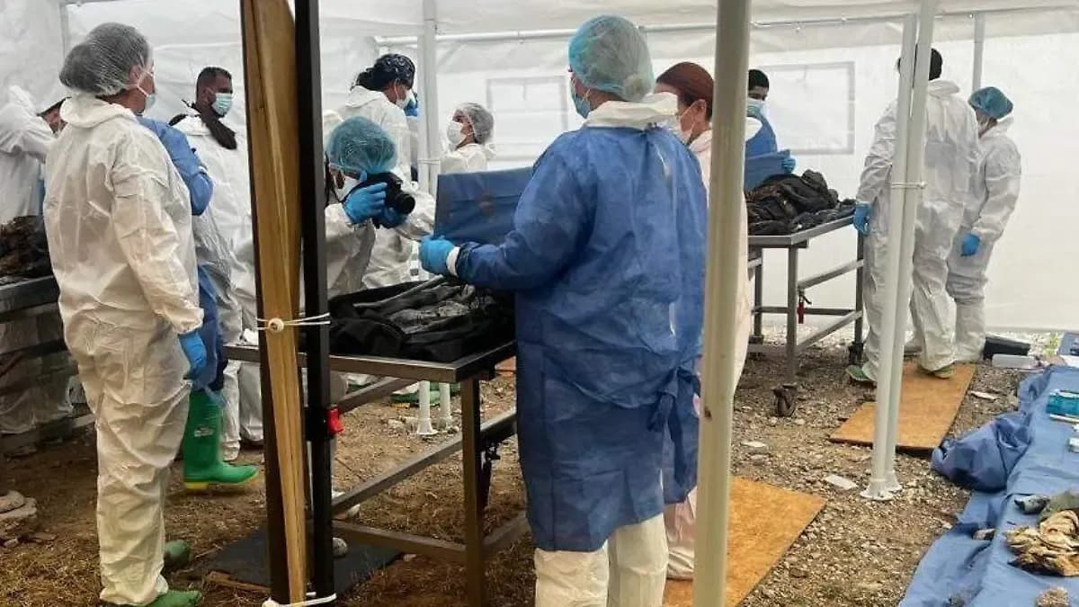 Suman 235 cuerpos identificados del Crematorio Plenitud en Juárez