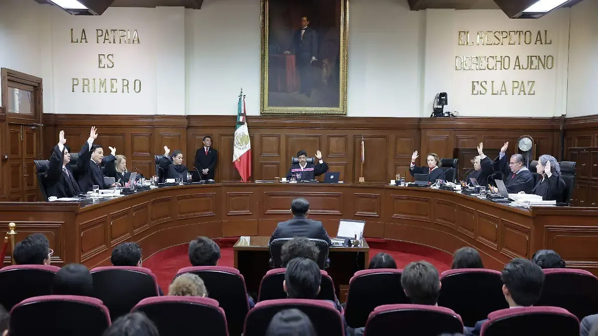 El IMSS está obligado a prestar los servicios de prótesis para menores de edad con discapacidad