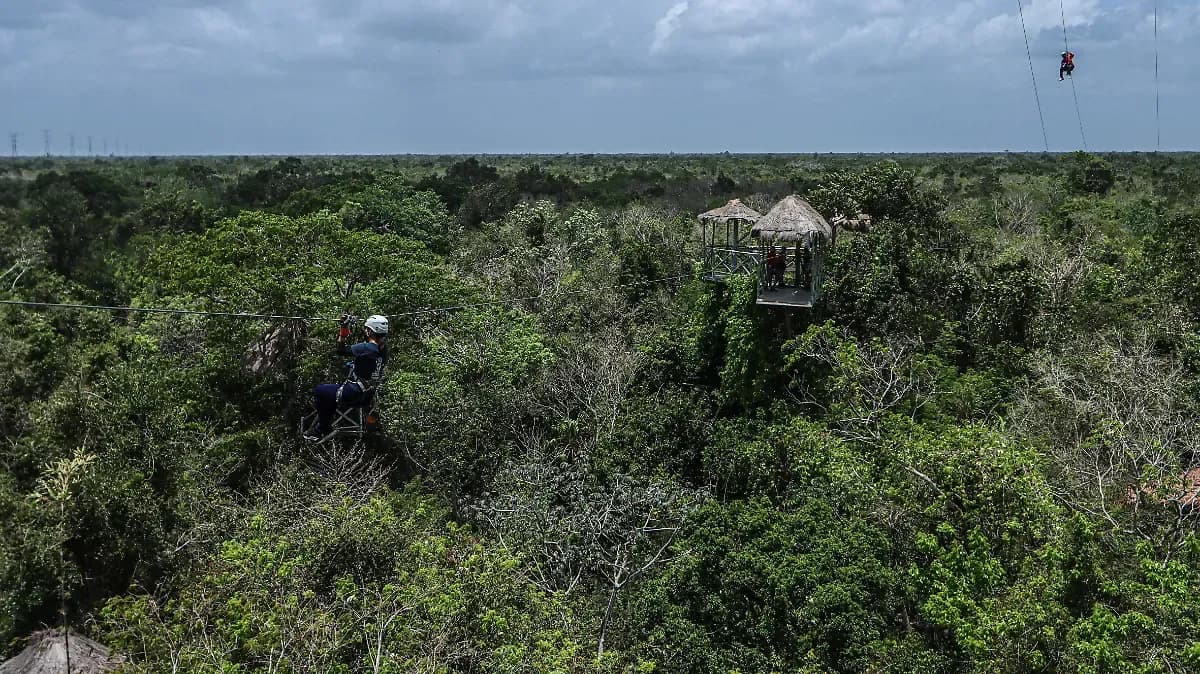 Buscan restaurar 32 Áreas Naturales Protegidas en México con la siembra de 300 millones de plantas