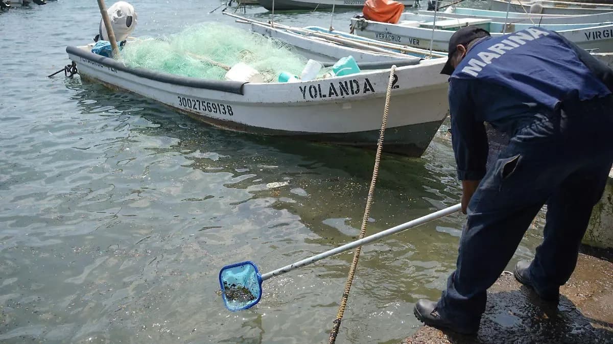 Apoyos a pescadores afectados por derrame en el Golfo de México no llegan en su totalidad