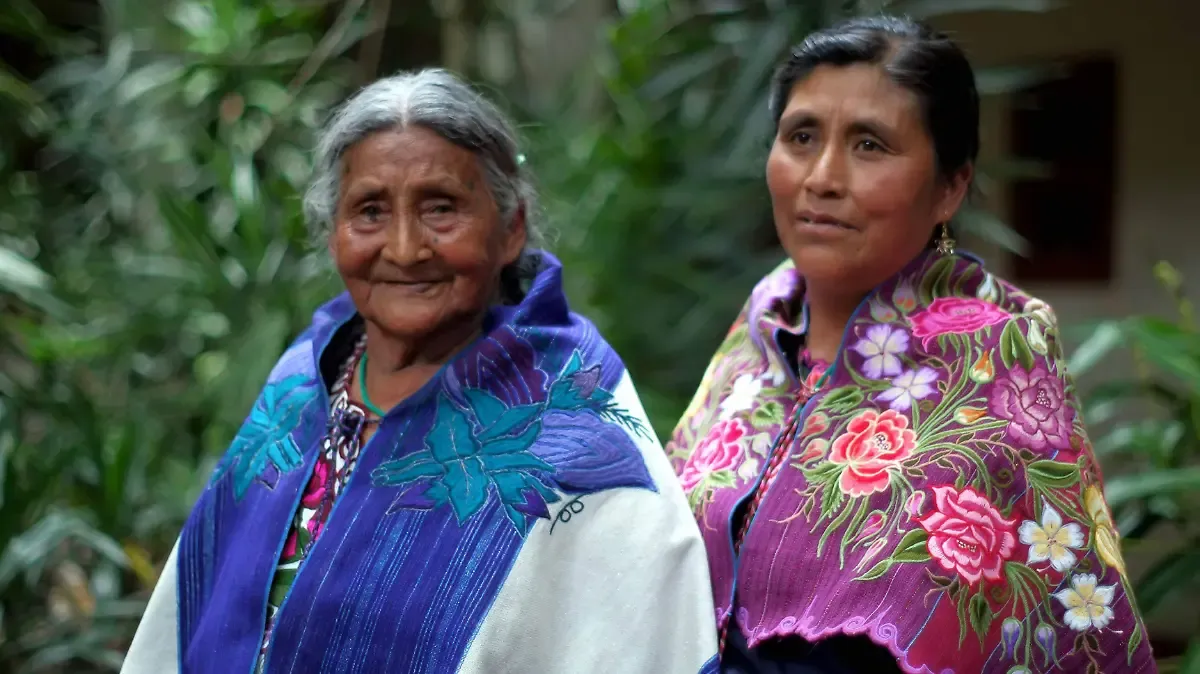 Salud crea Comité Nacional de Partería para reducir muertes maternas