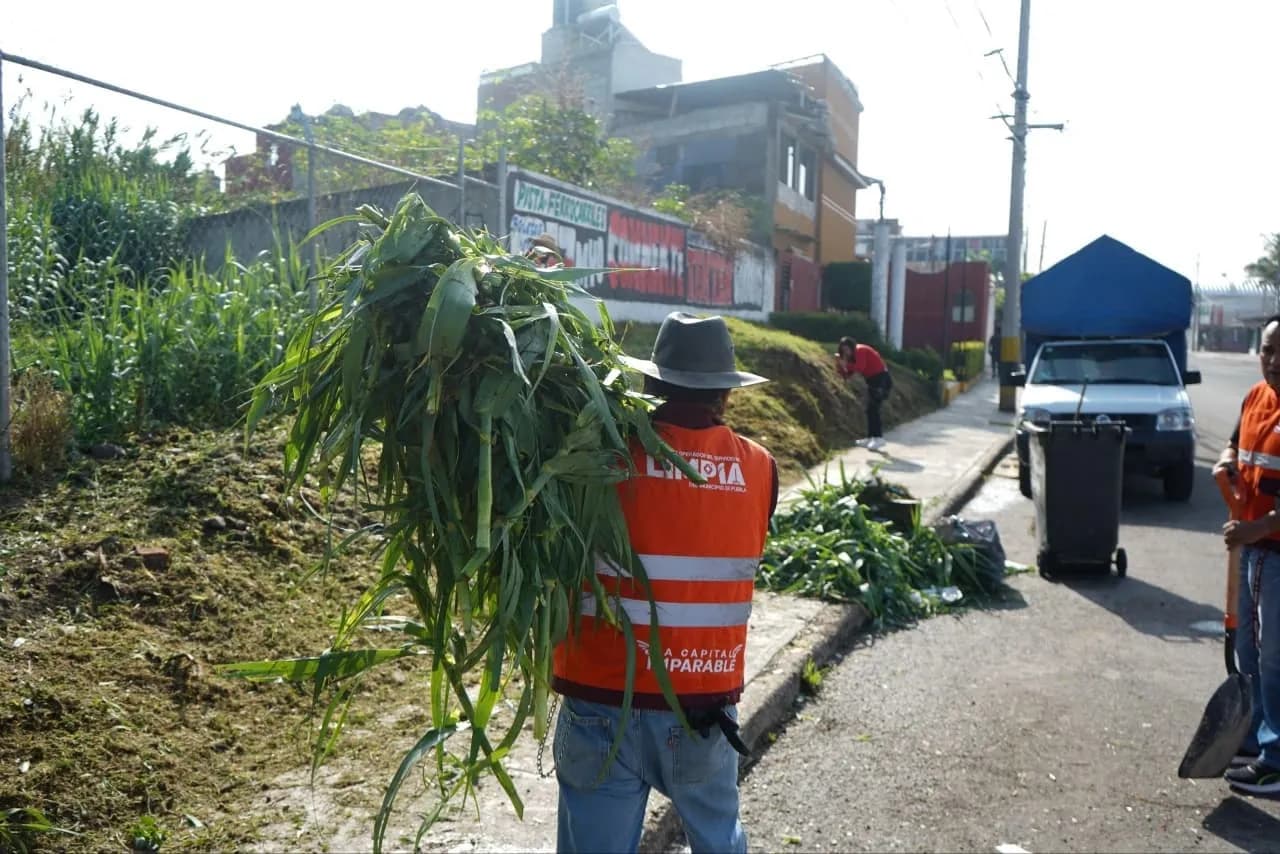 Supervisan limpieza preventiva en barrancas