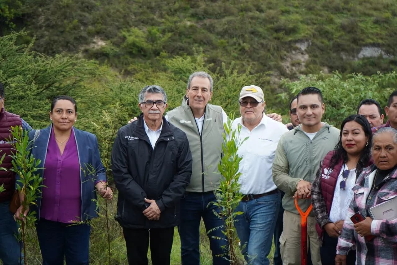 Impulsan reforestación masiva en Puebla