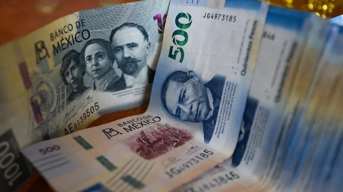 Sancionan con 59.6 millones de pesos a empresas por colusión en licitaciones de material para radiografías