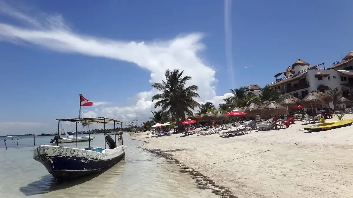 Afinan plan para rescatar selvas y ecosistemas de Mahahual