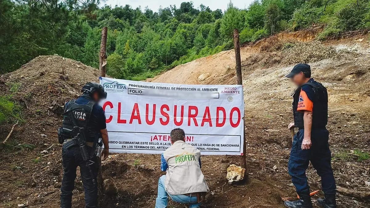 Profepa clausura predio en Puebla por extracción ilegal de mineral para fabricar vidrio y cerámica