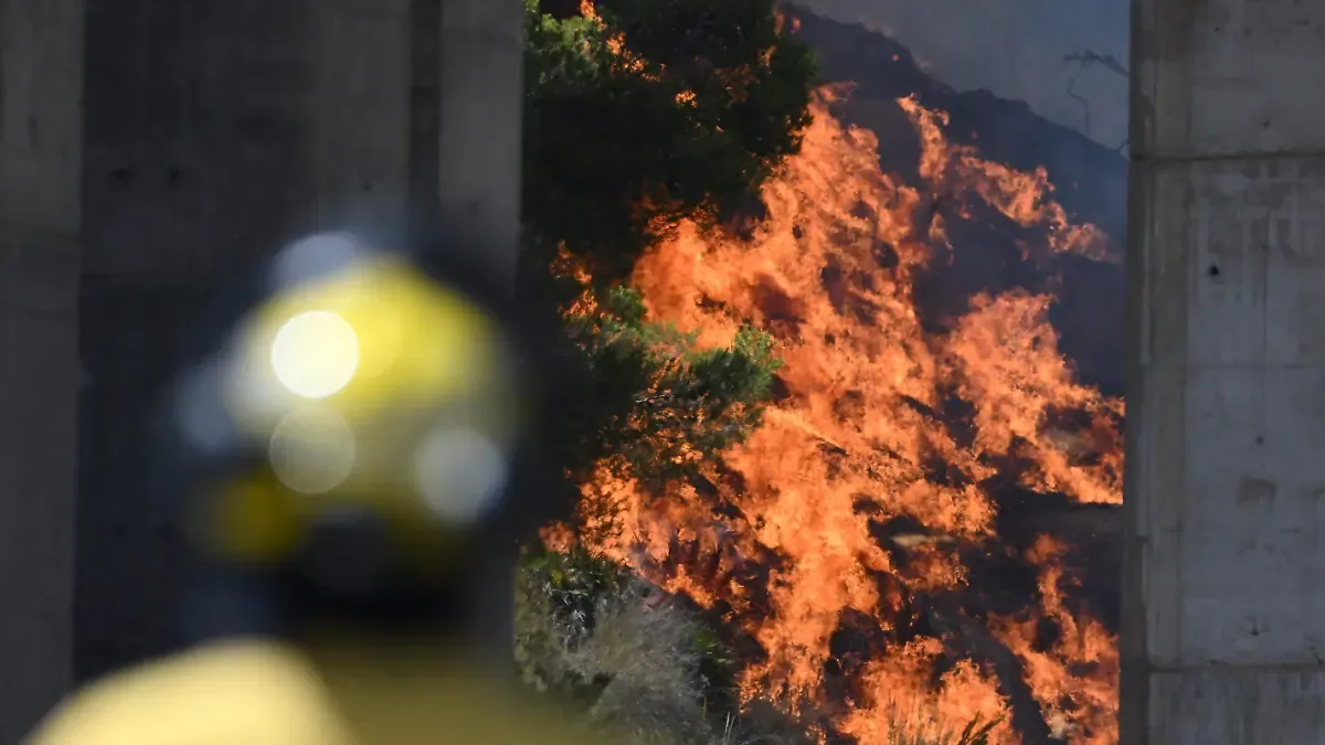 Emergencia en España por incendio forestal en Almería: varias víctimas quedaron atrapadas en sus autos dentro del fuego