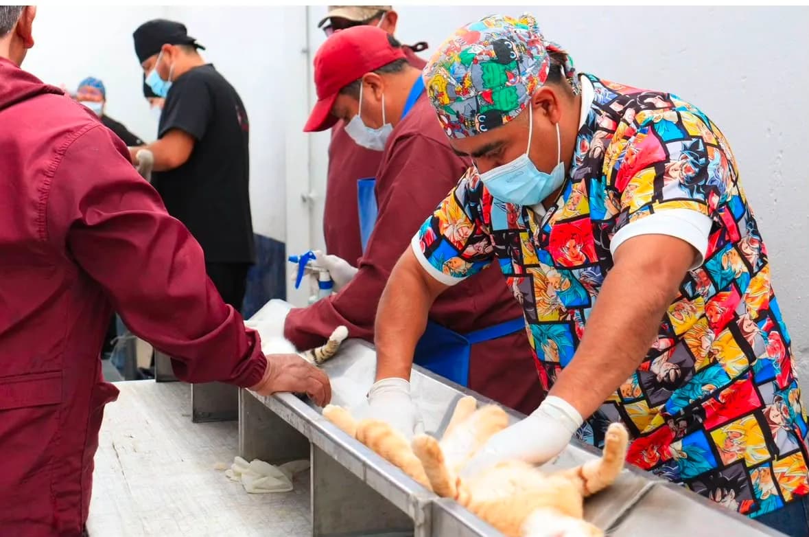 Gobierno municipal de Puebla reporta más de 200 jornadas de protección animal