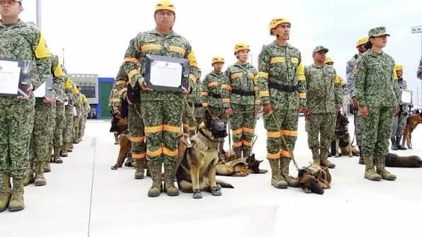 México prepara misión humanitaria para Colombia con militares y medicamentos
