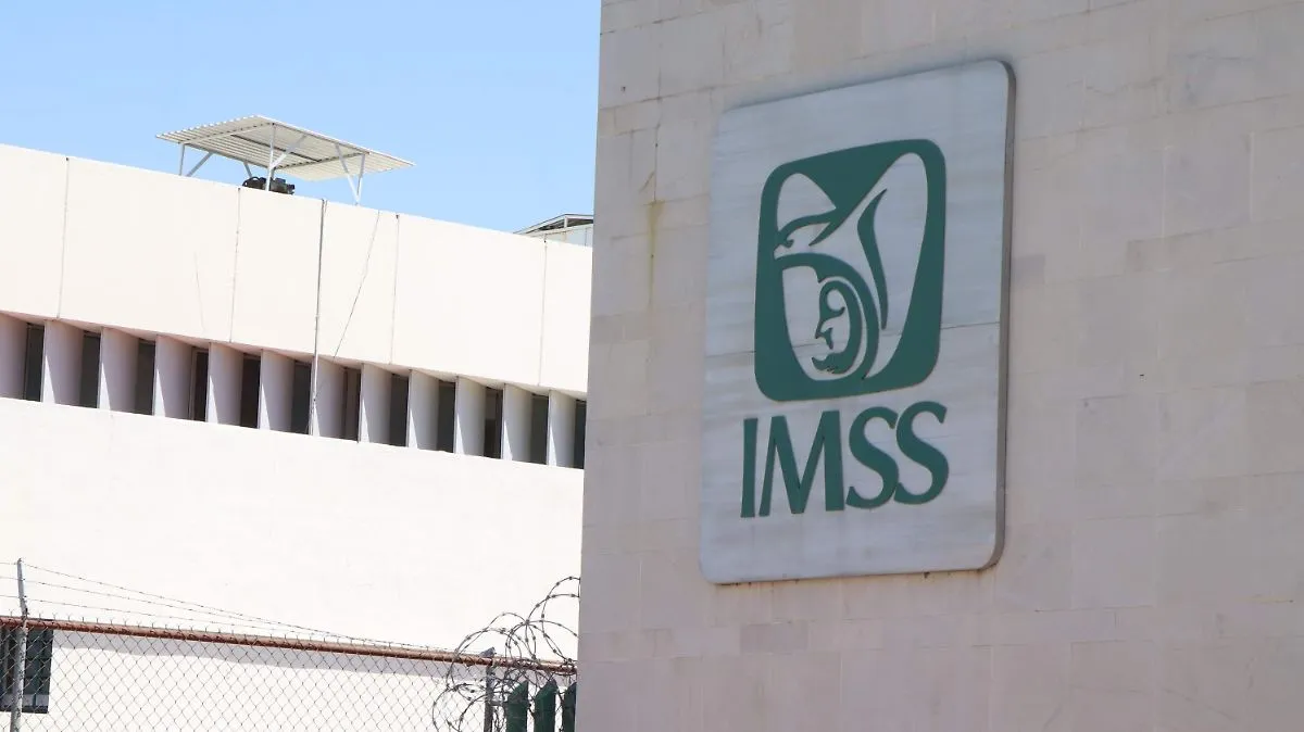 México recupera empleo en agosto y alcanza 22.79 millones de puestos registrados ante el IMSS