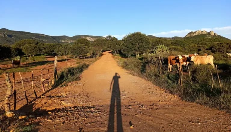 Más de 2 mil 700 mdp serán destinados a rehabilitar 29 caminos en la Mixteca de Oaxaca