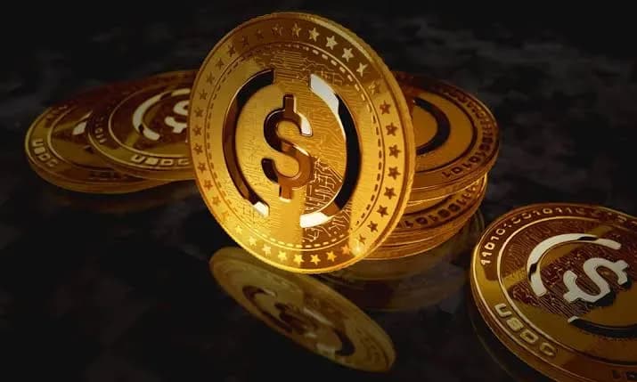 La OMC estudia si las monedas estables pueden facilitar pagos del comercio internacional