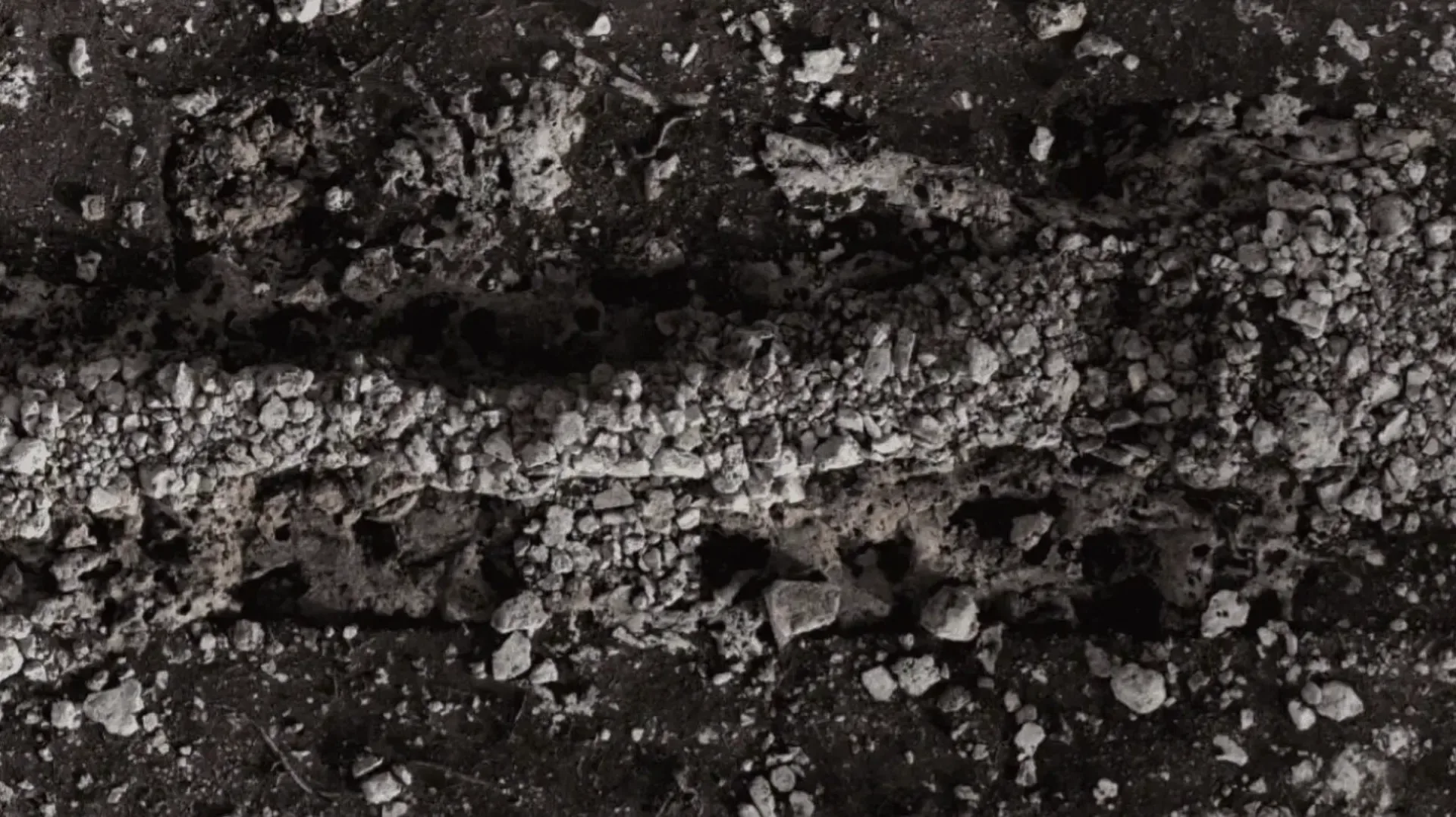 Hallazgo revela cómo los mayas criaban abejas hace siglos