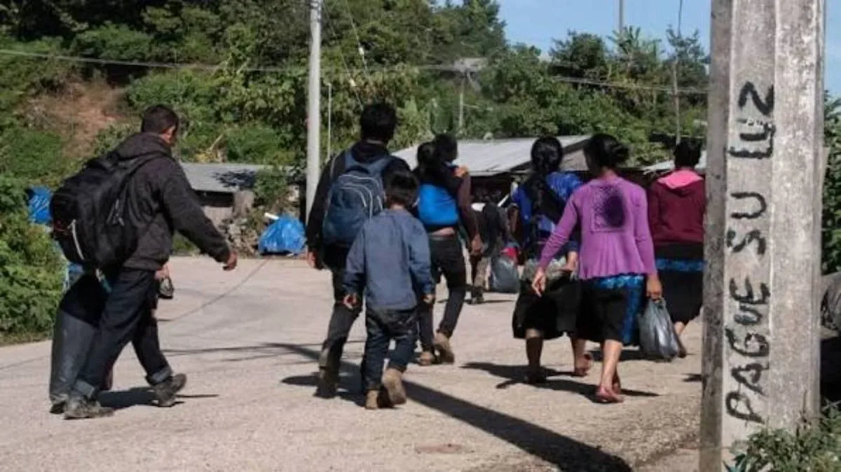 Más de 509 mil hogares reportaron desplazamiento por violencia en México