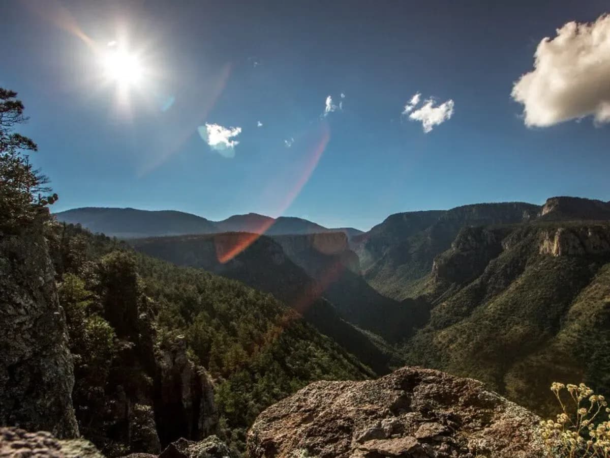 México prepara una movilización nacional para proteger sus áreas naturales