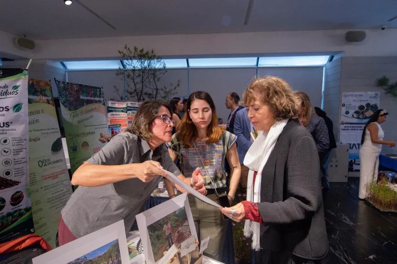 Tecnologías mexicanas buscan fortalecer la producción de alimentos