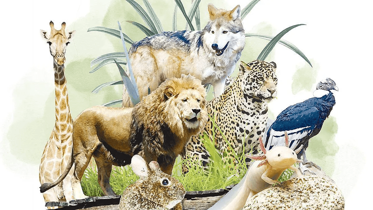 Zoológicos de la CdMx logran el nacimiento de mil 252 animales en cinco años